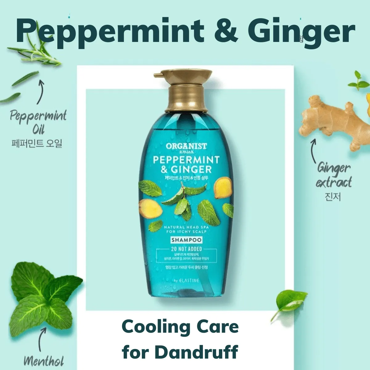 Organist Peppermint and Ginger Cooling Shampoo